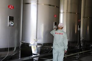 福建楊梅酒工程案例